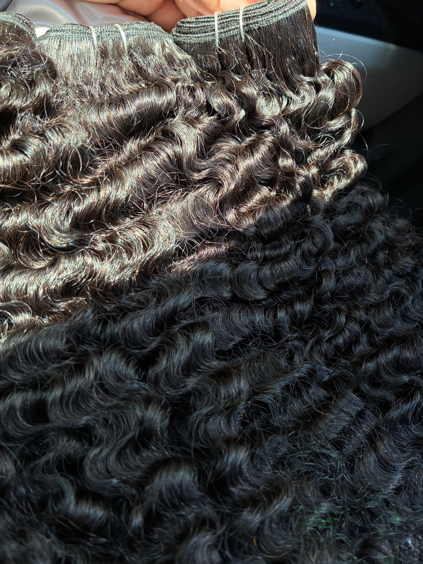 Burmese Curly Bundle Deal